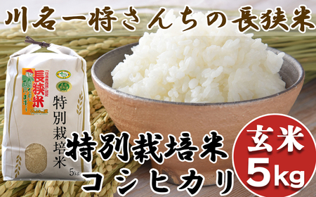 [令和6年産]川名一将さんちの長狭米 特別栽培米コシヒカリ5kg[玄米] [0012-0065]