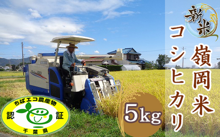 yߘa7NYzt@[̗䉪āuRVqJv5kg [0017-0025]