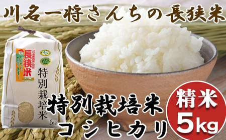 [令和6年産]川名一将さんちの長狭米 特別栽培米コシヒカリ5kg[精米] [0012-0065]