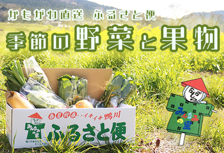 [鴨川直送ふるさと便]季節の野菜&果物詰合せ [0015-0043]