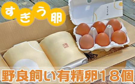 ̖ǎL18 [0011-0049]