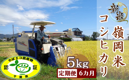 yցzyߘa7NYzt@[̗䉪āuRVqJv5kg×6 [0100-0077]