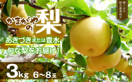 ※先行予約※ かまがや梨 [豊水・あきづきなど旬な梨をお届け] 約3kg