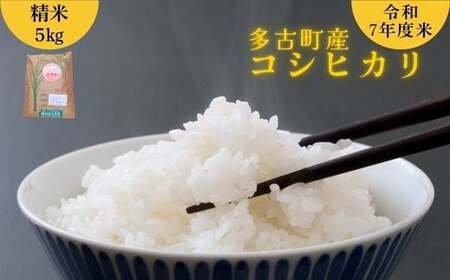 t ÒY  RVqJ ߘa7NY  5kg Y 