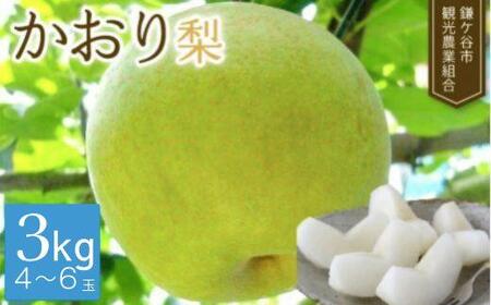 s\񁦁y3kgz܂炿̊niόgj