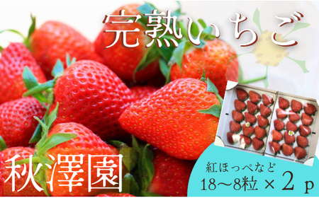 y18`8×QPzHV̎Ȃ芮n