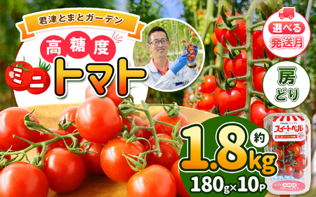 【6月発送】 高糖度 ミニトマト スイートベル （ 房どり ） 180g × 10P | 野菜 トマト ミニトマト プチトマト トマト 高糖度 トマト とまと 小分け 千葉 君津 きみつ ﾄﾏﾄﾐﾆﾄﾏﾄﾄﾏﾄﾐﾆﾄﾏﾄﾄﾏﾄﾐﾆﾄﾏﾄﾄﾏﾄﾐﾆﾄﾏﾄﾄﾏﾄﾐﾆﾄﾏﾄﾄﾏﾄﾐﾆﾄﾏﾄﾄﾏﾄﾐﾆﾄﾏﾄﾄﾏﾄﾐﾆﾄﾏﾄﾄﾏﾄﾐﾆﾄﾏﾄﾄﾏﾄﾐﾆﾄﾏﾄﾄﾏﾄﾐﾆﾄﾏﾄﾄﾏﾄﾐﾆﾄﾏﾄﾄﾏﾄﾐﾆﾄﾏﾄﾄﾏﾄﾐﾆﾄﾏﾄﾄﾏﾄﾐﾆﾄﾏﾄﾄﾏﾄﾐﾆﾄﾏﾄﾄﾏﾄﾐﾆﾄﾏﾄﾄﾏﾄﾐﾆﾄﾏﾄﾄﾏﾄﾐﾆﾄﾏﾄﾄﾏﾄﾐﾆﾄﾏﾄﾄﾏﾄﾐﾆﾄﾏﾄﾄﾏﾄﾐﾆﾄﾏﾄﾄﾏﾄﾐﾆﾄﾏﾄﾄﾏﾄﾐﾆﾄﾏﾄﾄﾏﾄﾐﾆﾄﾏﾄﾄﾏﾄﾐﾆﾄﾏﾄﾄﾏﾄﾐﾆﾄﾏﾄﾄﾏﾄﾐﾆﾄﾏﾄﾄﾏﾄﾐﾆﾄﾏﾄﾄﾏﾄﾐﾆﾄﾏﾄﾄﾏﾄﾐﾆﾄﾏﾄﾄﾏﾄﾐﾆﾄﾏﾄﾄﾏﾄﾐﾆﾄﾏﾄﾄﾏﾄﾐﾆﾄﾏﾄﾄﾏﾄﾐﾆﾄﾏﾄﾄﾏﾄﾐﾆﾄﾏﾄﾄﾏﾄﾐﾆﾄﾏﾄﾄﾏﾄﾐﾆﾄﾏﾄﾄﾏﾄﾐﾆﾄﾏﾄﾄﾏﾄﾐﾆﾄﾏﾄﾄﾏﾄﾐﾆﾄﾏﾄﾄﾏﾄﾐﾆﾄﾏﾄﾄﾏﾄﾐﾆﾄﾏﾄﾄﾏﾄﾐﾆﾄﾏﾄﾄﾏﾄﾐﾆﾄﾏﾄﾄﾏﾄﾐﾆﾄﾏﾄﾄﾏﾄﾐﾆﾄﾏﾄﾄﾏﾄﾐﾆﾄﾏﾄﾄﾏﾄﾐﾆﾄﾏﾄﾄﾏﾄﾐﾆﾄﾏﾄﾄﾏﾄﾐﾆﾄﾏﾄﾄﾏﾄﾐﾆﾄﾏﾄﾄﾏﾄﾐﾆﾄﾏﾄﾄﾏﾄﾐﾆﾄﾏﾄﾄﾏﾄﾐﾆﾄﾏﾄﾄﾏﾄﾐﾆﾄﾏﾄﾄﾏﾄﾐﾆﾄﾏﾄﾄﾏﾄﾐﾆﾄﾏﾄﾄﾏﾄﾐﾆﾄﾏﾄﾄﾏﾄﾐﾆﾄﾏﾄﾄﾏﾄﾐﾆﾄﾏﾄﾄﾏﾄﾐﾆﾄﾏﾄﾄﾏﾄﾐﾆﾄﾏﾄﾄﾏﾄﾐﾆﾄﾏﾄﾄﾏﾄﾐﾆﾄﾏﾄﾄﾏﾄﾐﾆﾄﾏﾄﾄﾏﾄﾐﾆﾄﾏﾄﾄﾏﾄﾐﾆﾄﾏﾄﾄﾏﾄﾐﾆﾄﾏﾄﾄﾏﾄﾐﾆﾄﾏﾄﾄﾏﾄﾐﾆﾄﾏﾄﾄﾏﾄﾐﾆﾄﾏﾄﾄﾏﾄﾐﾆﾄﾏﾄﾄﾏﾄﾐﾆﾄﾏﾄﾄﾏﾄﾐﾆﾄﾏﾄﾄﾏﾄﾐﾆﾄﾏﾄﾄﾏﾄﾐﾆﾄﾏﾄﾄﾏﾄﾐﾆﾄﾏﾄﾄﾏﾄﾐﾆﾄﾏﾄﾄﾏﾄﾐﾆﾄﾏﾄﾄﾏﾄﾐﾆﾄﾏﾄﾄﾏﾄﾐﾆﾄﾏﾄﾄﾏﾄﾐﾆﾄﾏﾄﾄﾏﾄﾐﾆﾄﾏﾄﾄﾏﾄﾐﾆﾄﾏﾄﾄﾏﾄﾐﾆﾄﾏﾄﾄﾏﾄﾐﾆﾄﾏﾄﾄﾏﾄﾐﾆﾄﾏﾄ