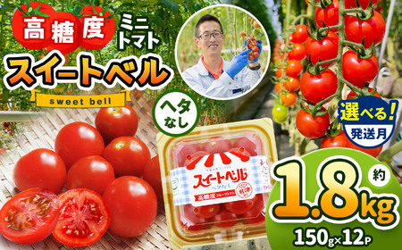 [11月発送] 高糖度 ミニトマト スイートベル ( ヘタなし ) 150g × 12P 