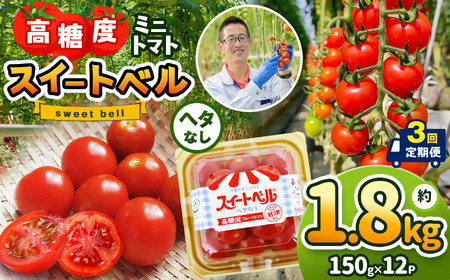 [定期便3回]高糖度 ミニトマト スイートベル ( ヘタなし ) 150g × 12P | 野菜 トマト ミニトマト プチトマト トマト 高糖度 トマト とまと 小分け 君津とまとガーデン 定期便 定期 3回 千葉 君津 きみつ