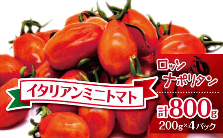 [2025年先行予約]イタリアンミニトマト ロッソナポリタン800g | 野菜 トマト ミニトマト プチトマト トマト 高リコピン 小分け とまと 千葉 君津 きみつ