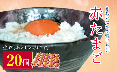きれいな水で育てた卵 赤たまご 20個 | 保坂農場 赤卵 赤玉 赤い卵 銘水 卵 たまご 君津市産 千葉 君津 きみつ 房総