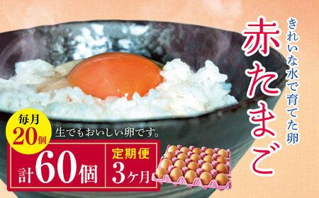 [3回定期便]きれいな水で育てた卵 赤たまご 20個 | 保坂農場 赤卵 赤玉 赤い卵 銘水 卵 たまご 定期便 3回 君津市産 千葉 君津 きみつ 房総