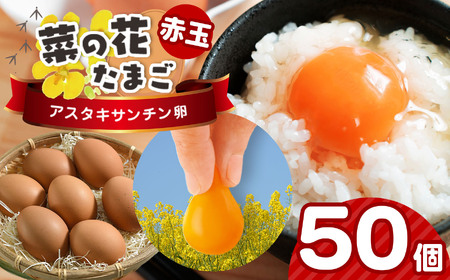 2TԈȓɔ VN y ԋ 50 zNÎsY ؂̉ԃGbO AX^LT` ؂̉Ԃ܂ | ͂    ܂ ^}S@{ ʎq    ܂Ă