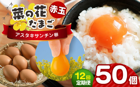 sS12ցt2TԈȓɔ VN y ԋ 50 zNÎsY ؂̉ԃGbO AX^LT` ؂̉Ԃ܂ | ͂    ܂ ^}S@{ ʎq   