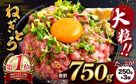清幸丸水産 大人気! ねぎとろ 750g | ネギトロ とろ 鮪 マグロ まぐろ たたき まぐろのたたき 海鮮 海鮮丼 魚介 魚 人気 オススメ 小分け 人気 定番 ご飯 オススメ 千葉県 君津市 きみつ