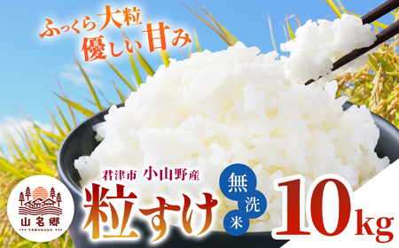 8月下旬から順次発送 無洗米 令和7年産 君津市小山野産 粒すけ 10kg | 新米 メディアで紹介 ! あかかげ農園 山名郷米 千葉稲作 しんまい シンマイ つぶすけ 千葉県産 むせんまい 米 コメ こめ お米 千葉県 君津市 きみつ