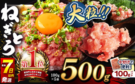 ねぎとろ 500g(100g×5袋) | 清幸丸水産 大人気 手巻き寿司 海鮮丼 マグロのユッケ まぐろ 海鮮 小分け 100g パック 千葉県 君津市