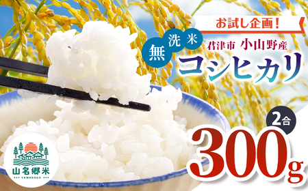 令和7年度 君津市小山野産 コシヒカリ 無洗米 2合 約300g | 新米 しんまい コシヒカリ こしひかり 2合 山名郷米 やまなごうまい 千葉県産 無洗米 むせんまい 米 コメ こめ お米 千葉県 君津市 きみつ あかかげ農園 千葉稲作