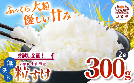 令和7年度 君津市小山野産 粒すけ 無洗米 2合 約300g | 新米 しんまい 粒すけ 2合 山名郷米 やまなごうまい 千葉県産 無洗米 むせんまい 米 コメ こめ お米 千葉県 君津市 きみつ あかかげ農園 千葉稲作
