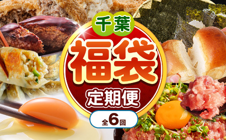 [ 定期便 6回 ] 千葉 君津市 福袋 