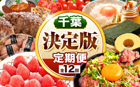 [定期便 12回] 千葉 君津市 決定版 