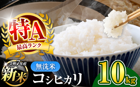 新米 無洗米 令和7年産 千葉県産 コシヒカリ 10kg [ 10月上旬以降発送 ] | コメ こめ お米 白米 ふっくら もちもち こしひかり おにぎり お弁当 千葉ふるさと蔵 イチオシ 千葉県 君津市 きみつ