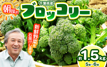 [農薬(化学肥料):栽培期間中不使用] ブロッコリー 約1.5kg(5〜6本) | 鈴木アル・ファーム 君津市