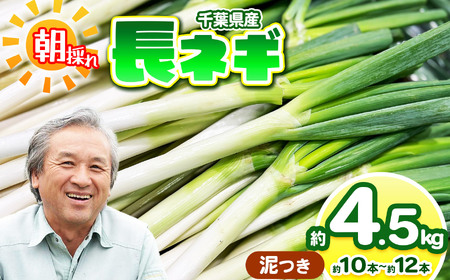 長ネギ 約4.5kg (約10〜12本) (泥つき) | ねぎ ネギ 長ネギ 長ねぎ [農薬(化学肥料):栽培期間中不使用] 国産 新鮮 詰め合わせ 産地直送 朝採れ 栄養たっぷり 安心野菜 旬 鈴木アル・ファーム 君津市 千葉県