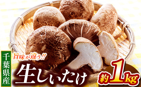 生シイタケ 約1kg | しいたけ 農薬(化学肥料):栽培期間中不使用