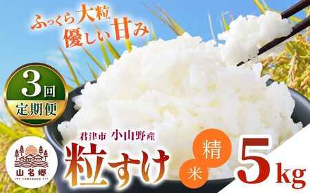 [ 定期便 3回 ]精米 令和7年産 君津市小山野産 粒すけ 5kg | あかかげ農園