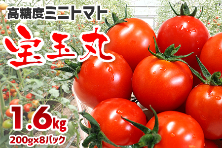 yǂ蒼zx~jg}guʊہv200g×8pbN v1.6kg