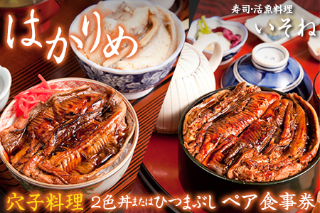 寿司・活魚料理 いそね はかりめ(穴子)「2色丼」又は「ひつまぶし」ペア食事券