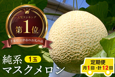 [定期便12ヶ月]純系マスクメロン1玉[最高級]:2025年発送分