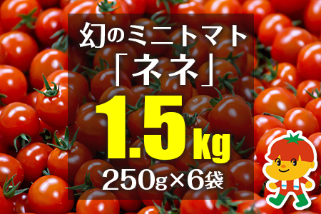 幻のミニトマト「ネネ」1.5kg(250g×6袋)