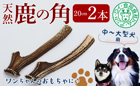 【犬のおもちゃ】シカの角 20cm×2本　中型犬～大型犬用