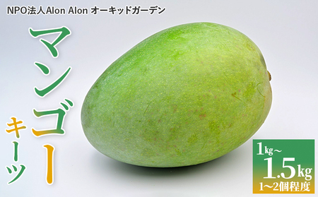 Alon Alon マンゴー(キーツ)栽培期間中農薬不使用 1kg〜1.5kg[6月中旬〜7月下旬頃発送]