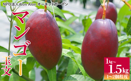 Alon Alon マンゴー(玉文)栽培期間中農薬不使用 1kg〜1.5kg[6月中旬〜7月下旬頃発送]