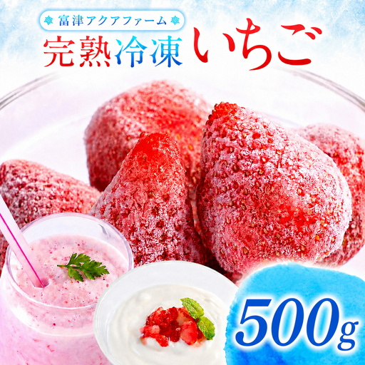 富津アクアファーム　冷凍完熟いちご 500g　いちご フルーツ 果物 完熟 ストロベリー ベリー 冷凍 アクアファーム おすすめ 数量限定 章姫 紅ほっぺ 真紅の美鈴 おいCベリー かおり野 ヨーグルト スムージー ジャム お菓子 おやつ 氷いちご 房総 千葉県 富津市