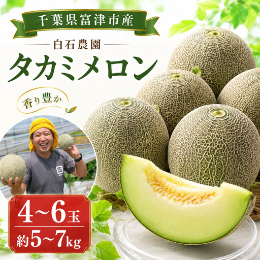タカミメロン4〜6玉(5〜7kg)[6月中旬〜7月末頃に発送] 白石農園