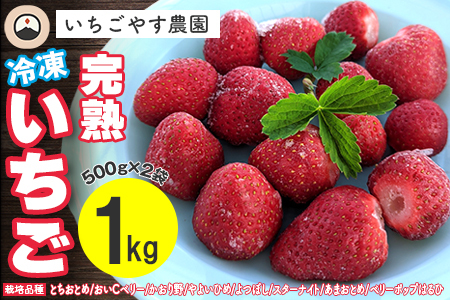 冷凍 完熟いちご1kg(500g×2袋)/いちごやす農園