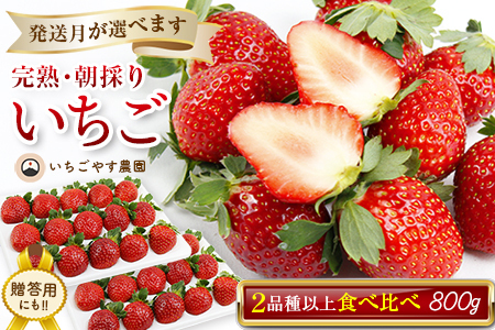 ���n�E���̂肢����400g×2���i2�i��ȏ�^�①�j �������₷�_���y�R���������z