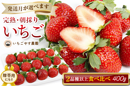 ���n�E���̂肢����400g×1���i2�i��ȏ�^�①�j �������₷�_���y�R���������z