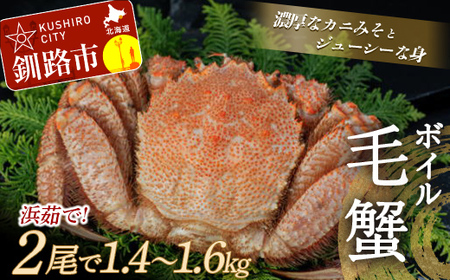 ボイル毛ガニ(冷凍)2尾で1.4〜1.6kg前後 ふるさと納税 蟹