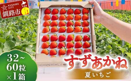 [期間限定!寄附額改定↓!]先行予約![2026年6月末から順次発送]すずあかね 32〜60粒×1箱 夏いちご 贈答用 イチゴ 夏イチゴ 果物 苺 いちご 夏 スィーツ ケーキ フルーツ 北海道