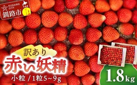 [ 訳あり ]赤い妖精 1.8kg(小粒 1粒5〜9g) 夏いちご 規格外にて訳あり イチゴ 夏イチゴ 果物 苺 いちご 夏 スィーツ ケーキ フルーツ 北海道 規格外