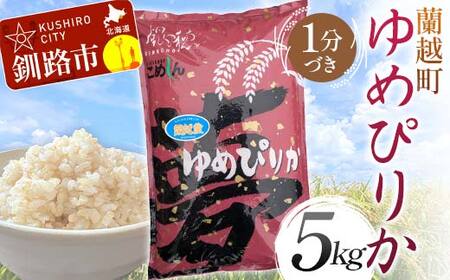 zY߂҂肩 5kg 1Â kCY  R   ʏ픭 F4F-8954