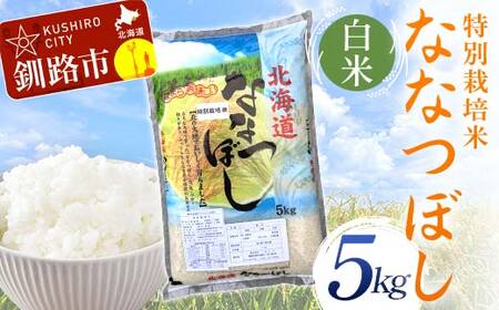 特別栽培米ななつぼし 5kg 白米 北海道産 米 コメ こめ お米 白米 玄米 通常発送