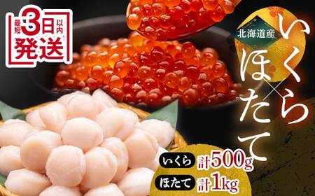 笹谷商店 いくら醤油漬け500g＆ほたて貝柱1kg ふるさと納税 海鮮 いくら 帆立 海鮮物 セット北海道 釧路 いくらホタテいくらほたていくらホタテいくらほたて F4F-7873