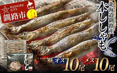 本ししゃも オス10尾・メス10尾 釧路産 本ししゃも 魚 ししゃも 魚好きのオス プチプチたまごのメス 魚介 グルメ シシャモ 北海道産 国産 魚 魚介 海の幸