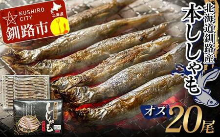 本ししゃも オス20尾 釧路産 本ししゃも 魚 ししゃも 魚好きのオス 魚介 グルメ シシャモ 北海道産 国産 魚 魚介 海の幸